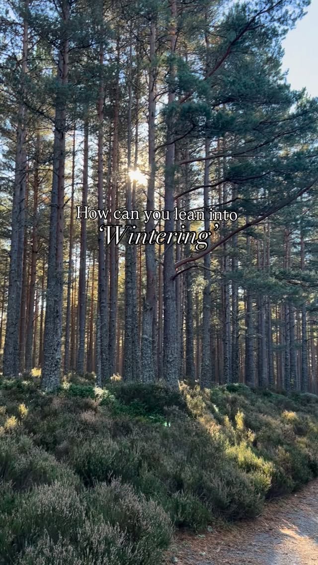 How can we lean into wintering? 🌲⛄️🧣🌨️
Every season asks something different of us.
Summer invites expansion.
With long evenings, open windows, connection, movement, more time spent outdoors in the fresh air, lightness (and maybe even some fruit platters and iced coffees 🙃)
Winter, though, asks something quieter.
It calls us inward.
To restore, to ground, to gather ourselves.
In a world that tells us to stay “on” all year round, winter reminds us that rest is not regression…..
it’s renewal. We’re meant to have seasons too.
This is the time for slower mornings.
Stretches and wind downs. Less plans and more permission to slow down. For warm, grounding food.
For tending to what’s been neglected….
Maybe that’s our energy, our inner world and our bodies. For letting stillness do its work.
Leaning into winter isn’t about isolation.
It’s about integration.
Listening 💫 replenishing 💫 reconnecting
So that when light returns, we rise from rest, not depletion.
To make the most of winter and allow it to help us, we need to see its beauty and its strength.
It’s offers us SO much!!!!
What things can you think of doing and way of being, that can help you lean into wintering?
I would love to hear ⬇️
#eastlothiancounsellor #eastlothiancounselling #counselling #therapy #healing #walkandtalktherapy #eastlothian #onlinecounselling #somatictherapy