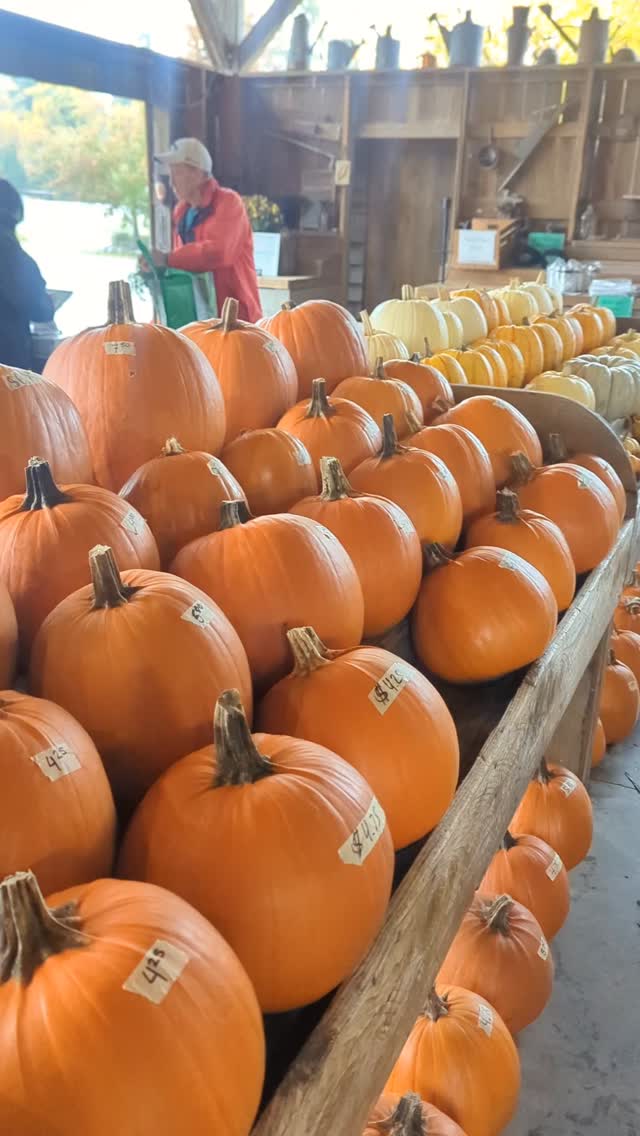 A little rain didn't stop us from having a spook-tacular pro d day! 🎃🌧️