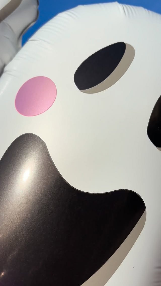 Only treats for our little friends at Chesterton’s Downtown Trick or Treat! 💀🎃👻