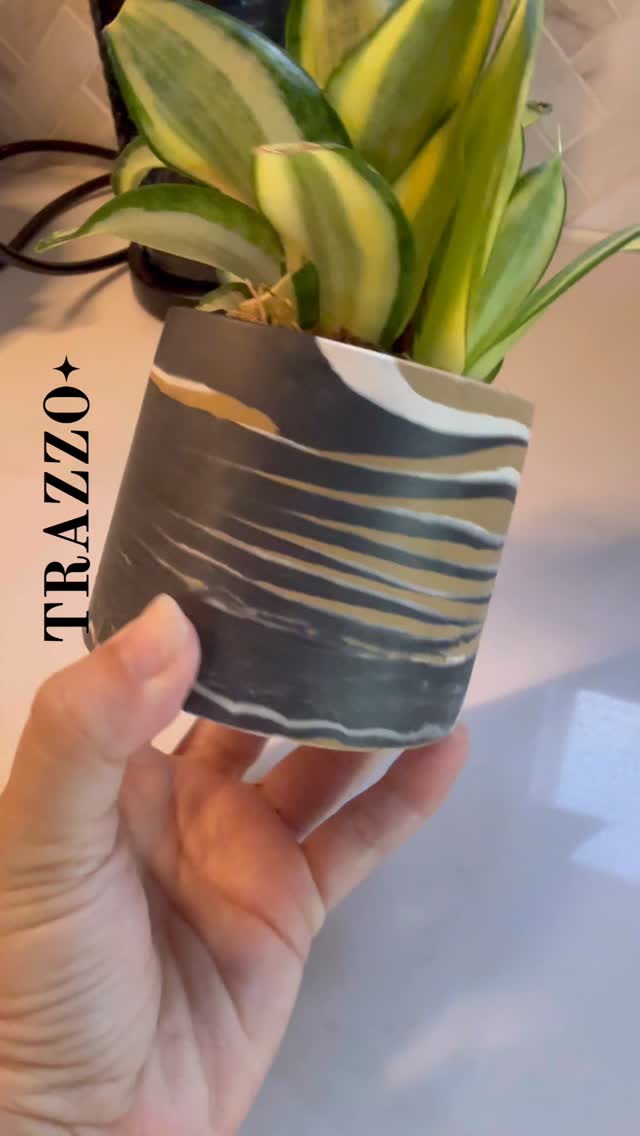 🪴How to bring your Trazzo planters back to life in under a minute! ✨
A little coconut oil, a soft cloth, and some love — that’s all it takes to restore their natural sheen and make them look brand new again 🤩
Remember: always use liners to protect your decorative planters so they last for years 💛
Shop + learn more in the Care section at ShopTrazzo.com
#howtoreels #trazzo #terrazzodecor #terrazzodesign #plantlovers #apartmentplants #homedecor #handmadewithlove❤️