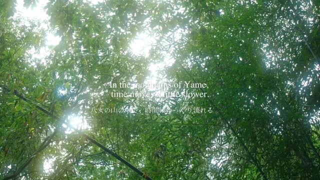 Thank you @wynn_s2 for this wonderful video of #skyteahouse ✨
#yame
#fukuoka
#japan
#japancountryside
#yamecha