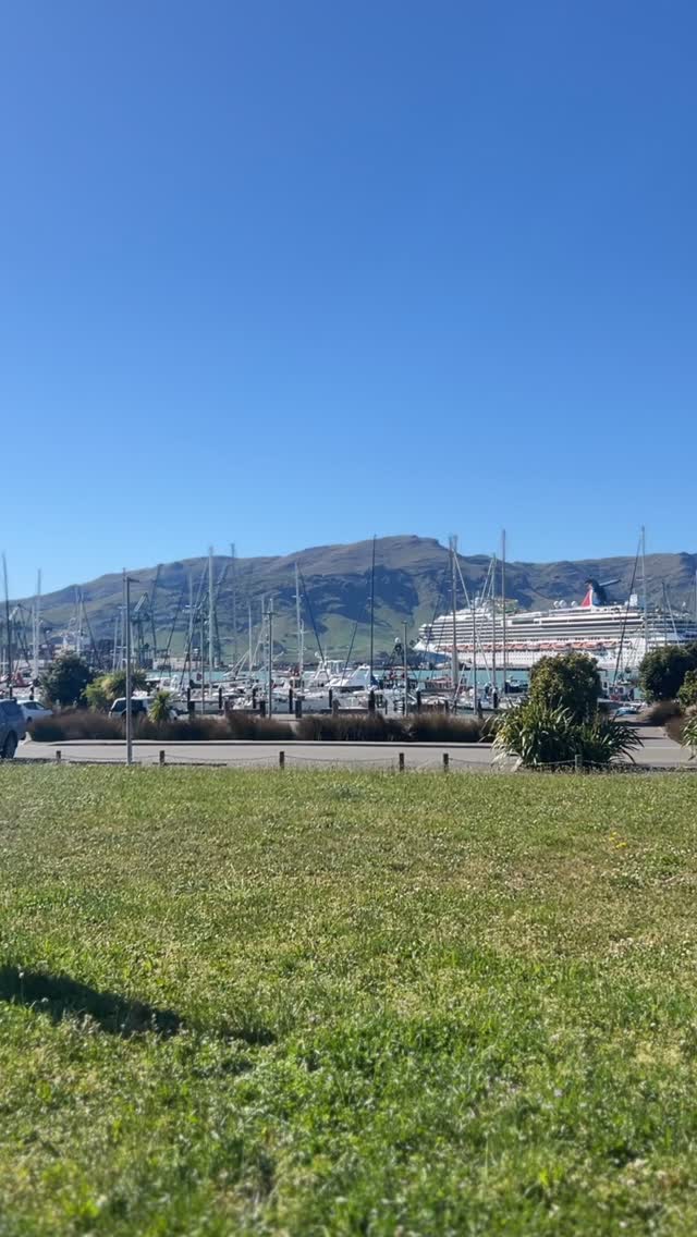 🚨BANNER UPDATE! 🚨
*
Honestly, we’re ready to put all this behind us 😅 BUT before we do we need to thank a few people who came to our rescue.
*
Shout out to @langham_signs @adgraphixnz @gomedia_nz and @bekonmedia who all came through to support us ❤️🙏