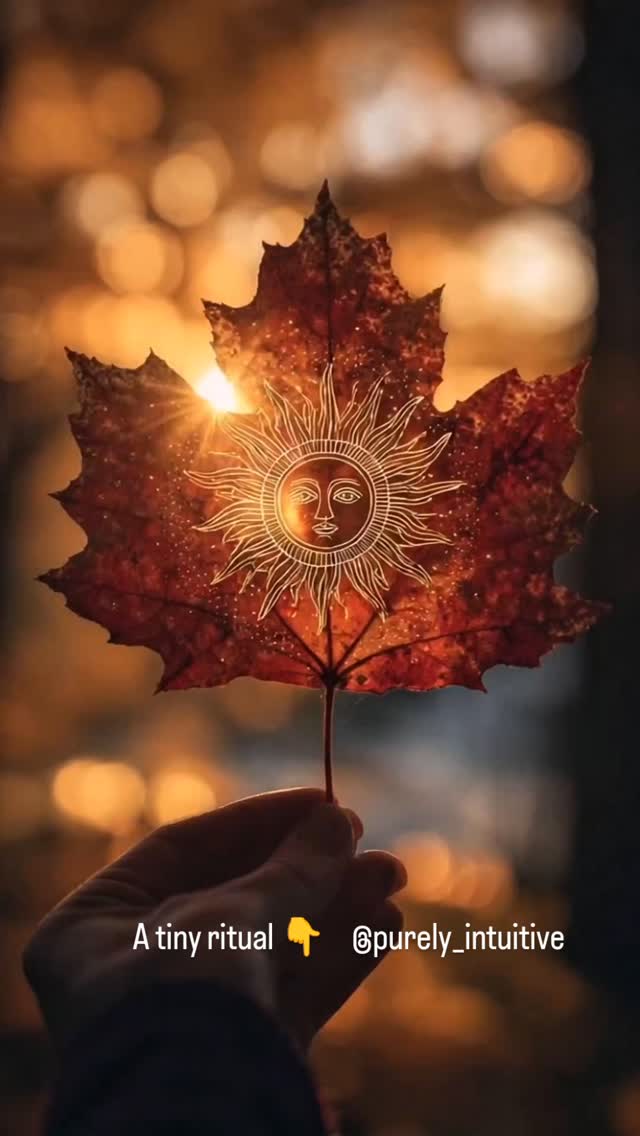 You're not lost. You're just between chapters. The next one holds everything you've been longing for.
Ritual ✨
Light a candle 🕯️for your last chapter.
Say a deep and intentional 'Thank you' for what you've learned -and what is no longer is true about you
Notice the shining truth about who you really are, And who you want to be.
Write + acknowledge the limiting thoughts that you were holding on to, and Get ready to release🍁
...Start breaking away from the old story so that you can invite a fresh opportunity in.
Write in your notebook: ✨
What have you learned in your last chapter that you are ready to let go of now?
Affirmation✨. I'm no longer clinging to the past. I'm ready to welcome-in what I am becoming.
Let the transformation begin. 💔🌹🍁