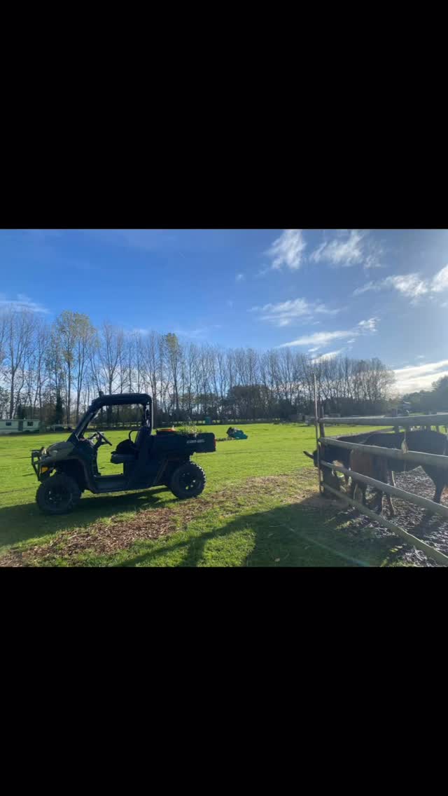 A day in the life of all things cute 🦙🫏🐖💕 #alpacas #donkeys #pigs
#cheshirefarm #fyp #cheshirefarm #pettingfarm #farmlife #alpacawalk #warrington #runfree #alpacaswarrington #woodlandsalpacafarm