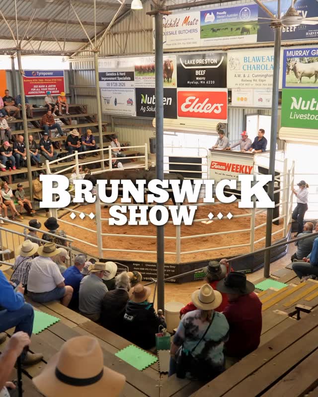 See the South Wests BEST at the Brunswick Show tomorrow