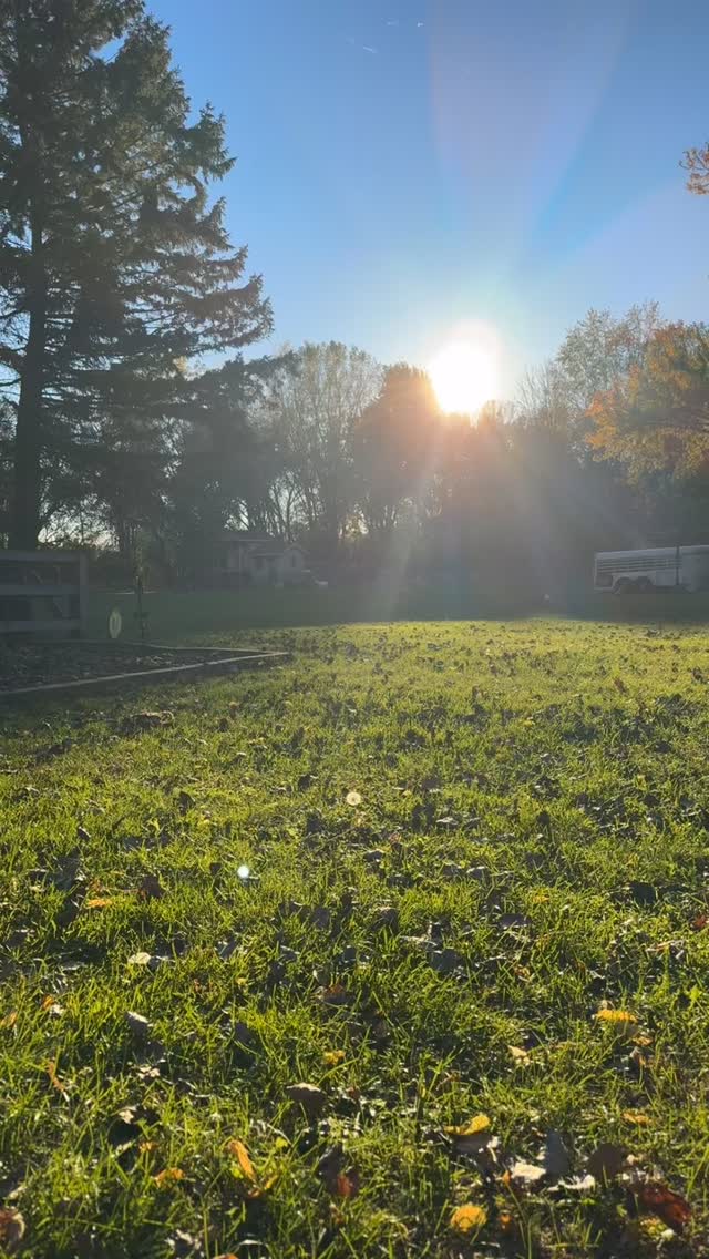 I just love our little homestead. 
#homestead #wisconsin #chickensofinstagram #peace