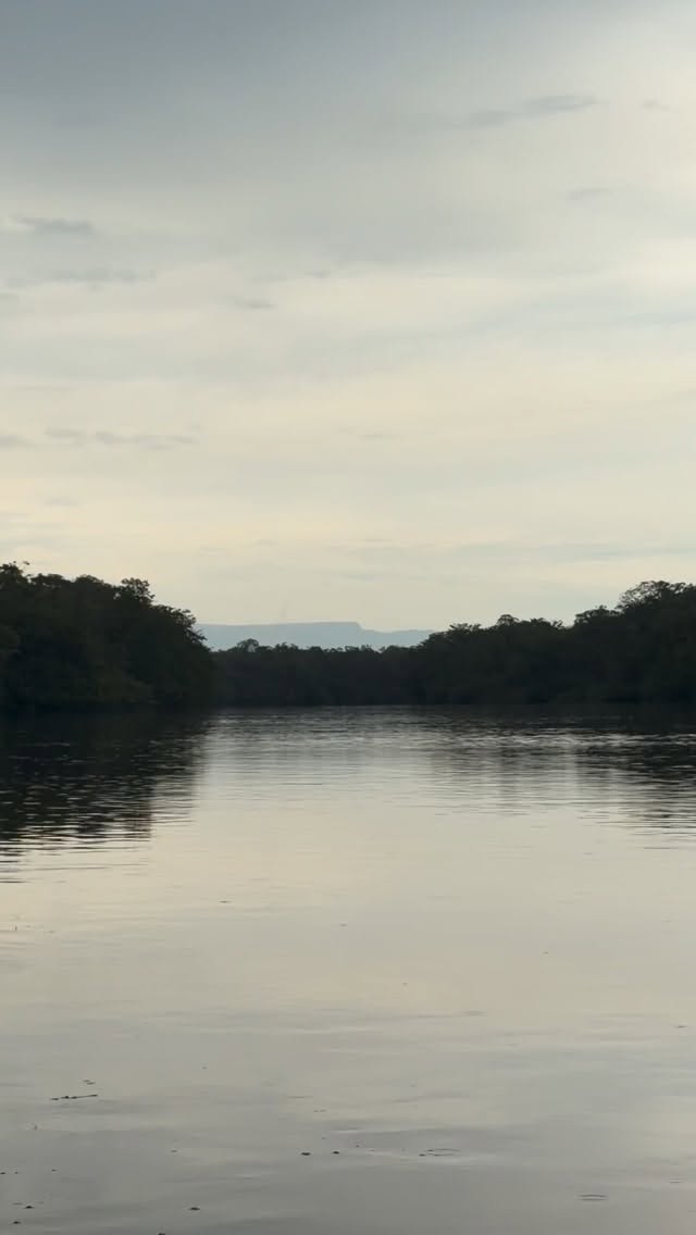 Pico da Neblina,
Formação rochosa do pico da neblina, vista do rio Yatua.
Afluente incrível na cabeceira do Pasimoni, subindo o repartimento Yatua/Baria.
Rios de preservação e pressão de pesca únicas na amazônia.
Vagas ainda nessa temporada 27/11-06/12/2025 !!!
@baits_box já com caixa pronta pra pegar o voo rumo à Colombia.
Temporada 2026:
PASIMONI DEL 15 AL 24 DE OCTUBRE 2026
10 vagas
PASIMONI DEL 22 AL 31 DE OCTUBRE DE 2026
7 vagas
PASIMONI DEL 12 AL 21 DE NOVIEMBRE DE 2026
7vagas
@oldbaitanglers , for passionate anglers!!!