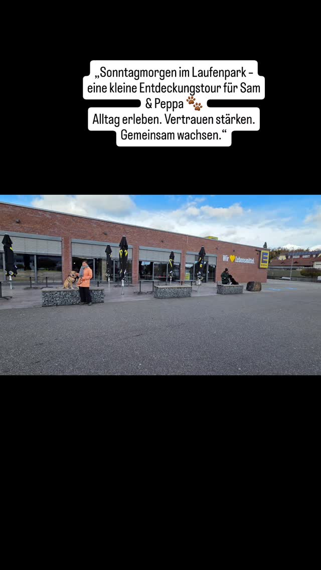 🎥 Sonntagmorgen im Laufenpark – Erkundungstour mit Sam & Peppa 🐾
Ein erfolgreicher Enrichment-Sonntagmorgen für unsere Hund-Mensch-Teams 💪✨
Gemeinsam haben wir die Einkaufsstraße erkundet – so viele spannende Gerüche, neue Eindrücke und echte Alltagssituationen zum Entdecken. 👃🛍️
Mit Spaßübungen und einem kleinen Slalom vor dem Müller Drogeriemarkt wurde der Spaziergang zu einem spannenden Lernmoment. 🎯
Für Sam & Peppa, aber auch für uns Menschen – ein lehrreicher, schöner und einfach rundum toller Vormittag! ❤️🐶
Solche Einheiten zeigen immer wieder, wie wertvoll es ist, gemeinsam im Alltag zu wachsen – ruhig, bewusst und mit Freude. 🌿
@sam_the_happydog
@krissiatoka