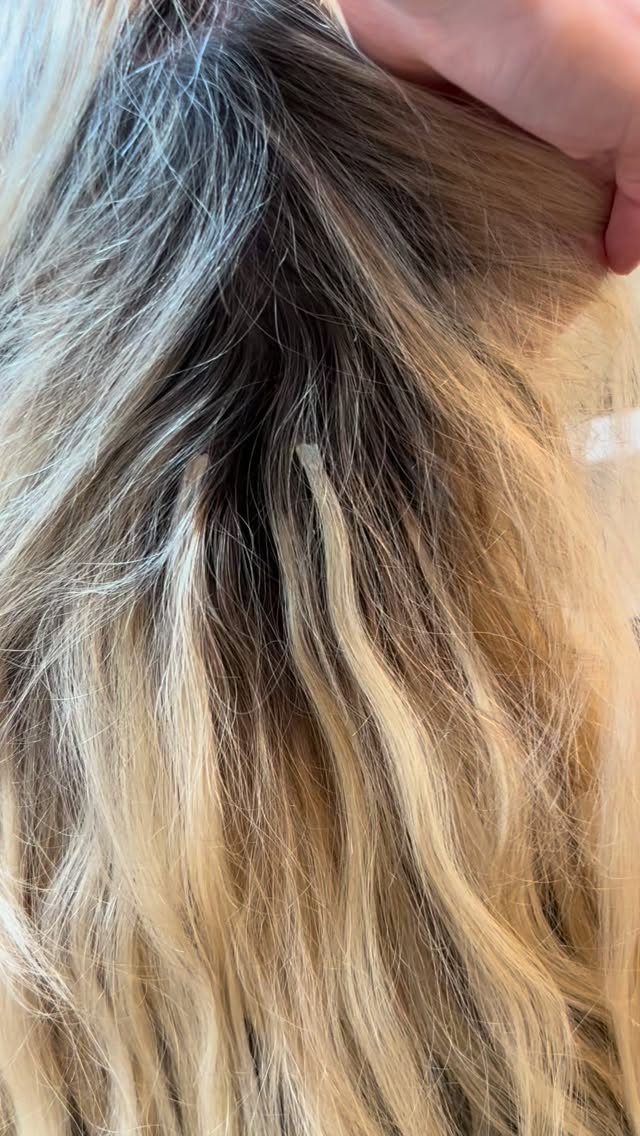 Frische Farbe, glänzende Extensions und wieder dieses Wohlfühl-Gefühl 💫
Mit einem kleinen Fresh-up bringen wir dein Haar zurück zum Strahlen ✨
Buche deine Beratung ganz einfach online 💕
Gemeinsam finden wir die perfekte Extension-Lösung für dich – natürlich, diskret und mit Liebe zum Detail 🤍
📍Bel Hair – Rosenstrasse 6, 8700 Küsnacht
#extensionsspezialist #haarextensions #belhairküsnacht #healthyhairjourney #vorhernachher #wavesextensions #haaverlängerung #glanzmomente #hairstylistzurich🔹