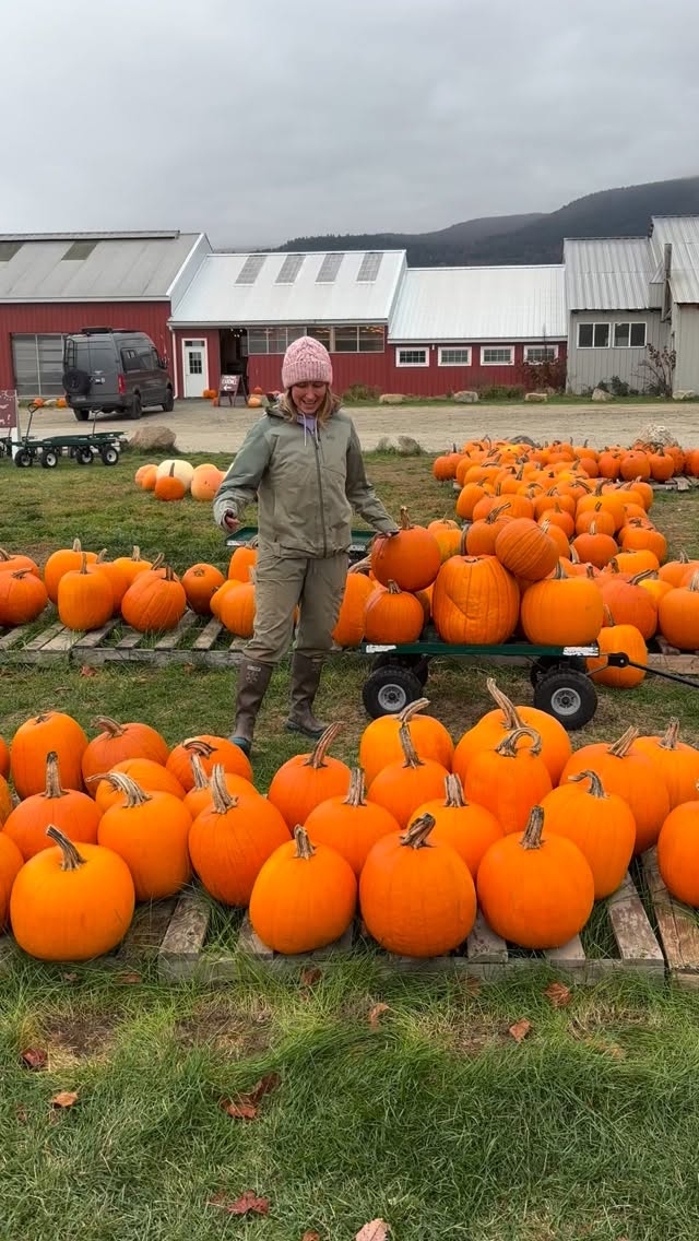 Get in on the Pumpkin Wagon Challenge! Load a wagon with carving pumpkins, wheel it into the stand, for only $40!
Local pumpkins are the best!
We’re open through Friday 10/31 until 5:30pm!
#supportlocallygrown #buylocal #pumpkins #carvingpumpkins