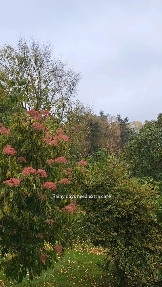 Rainy days need extra care:
extra sleep, extra tea, extra bubble bath, extra sobbing, extra self-hugs, extra love.
Don’t forget. 🫖
_____________________________________________
#AchtsamkeitImAlltag #Selbstfürsorge #SlowLivingVibes