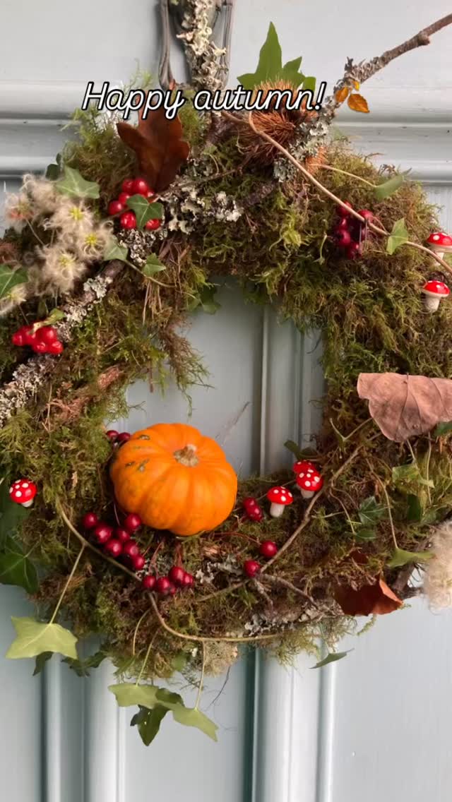 Happy autumn everyone! We’ve been embracing the season with an autumn wreath, cosy jumpers, walks kicking up crisp fallen leaves, foraging for mushrooms for ramen (deceivers, amethyst deceivers and jelly ear), filling our pockets with delicious apples from a forgotten orchard… and picking gorse for… wait and see!! 😉
#cornwall #foraging #forager #wildfood #plants #getoutside #forage #autumn