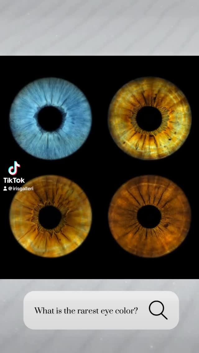 #irisgalleri #eyephotography #irisphotography #macroeye #irisart #eyecloseup #eyemacro #uniqueeyes #eyeartwork #irisportrait #norskfotograf #fotokunst #kunstfoto #oslofotograf #norwayphotography #visitnorway #norgebilder #mittnorge #norwegianart #osloartscene #macrophotography #fineartphotography #irisdetails #eyestagram #oslobusiness #norwegianphotographer #norwayart #artinnorway #creativephotography #irisphoto