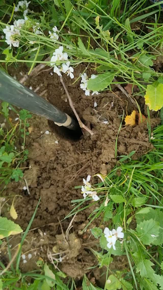 Qui y a t'il là dessous? Prélèvements de terre