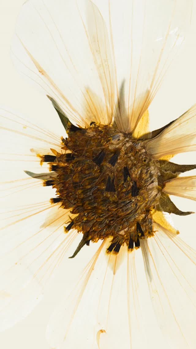 💫Personas que cuidan💫
Cuidar es mirar con atención.
Es estar presente.
Es creer en las capacidades del otro.
Hoy celebramos a quienes hacen del cuidar su ocupación.
💚 #DíaDeLaTerapiaOcupacional #CuidarEsAcompañar #Personasquecuidan