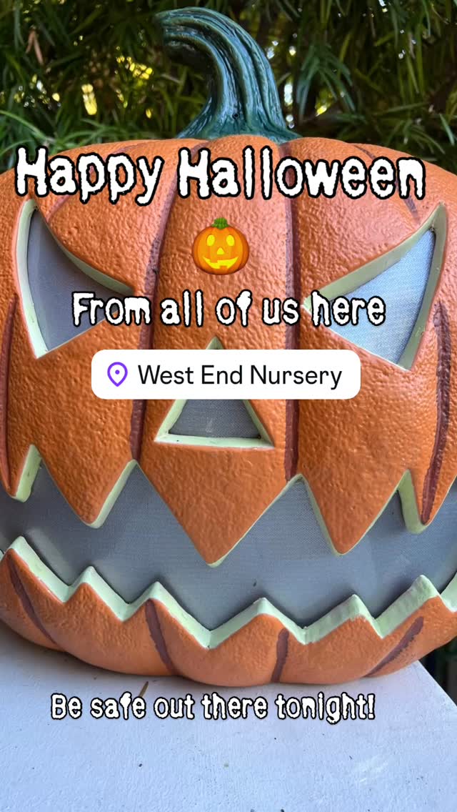 Happy Halloween to all. Have a super fun and safe night. #west_end_nursery #thechristmashouseatwestendnursery #thechristmashouse #christmasiscoming #theholidaysarecoming
