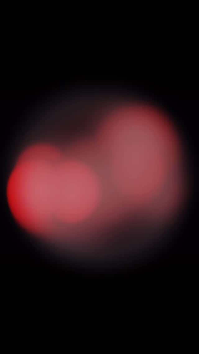 Join us this Friday for a spooky Halloween 👻
Kids who come in costume will receive a free Halloween mocktail, and adults dressed up will enjoy a complimentary glass of Prosecco 🥂
Our Halloween Party Night will feature a live DJ, so get ready for great music, tasty drinks, and plenty of spooky fun 🎃