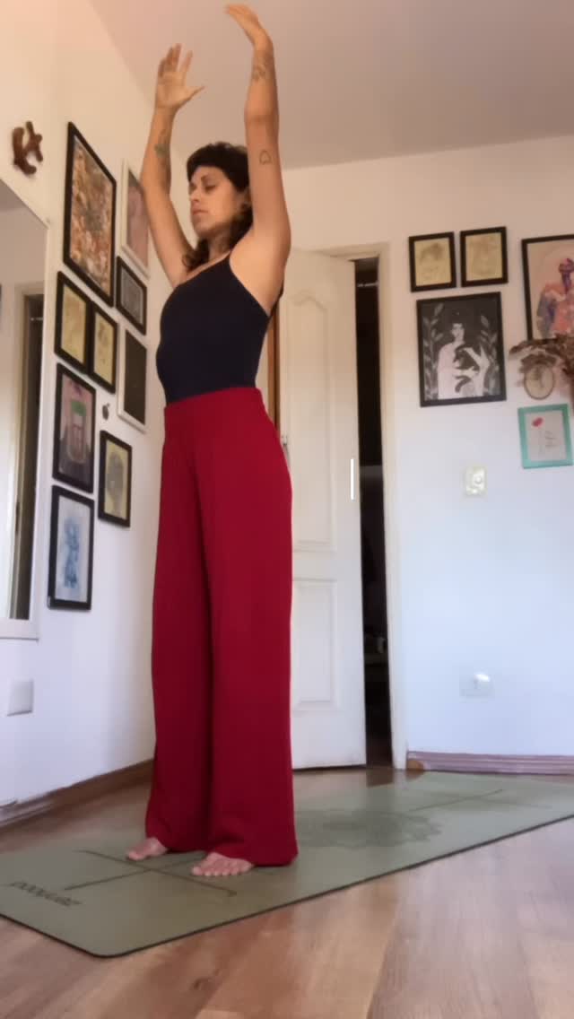 No meio da prática, o Cometinha aparece lembrando que o yoga não é sobre afastar o mundo, mas estar presente nele, mesmo quando surge um gatin pedindo muito carinho. 🐾
Com quase 5 kg de puro charme nas costas, me senti super forte mantendo o controle da flexão durante o módulo 2 da formação com o @yoga.pro.br_pedrokupfer
Lookinho maravilhoso e confortável, feito pelo meu incrível pai @miltonn.alvesluna 🫶🏻
#yogato #yogacat #yogatoday #yoga #cats #yogalifestyle #yogalove #yogapractice #catslover #cats_of_world #cats_of_instagram