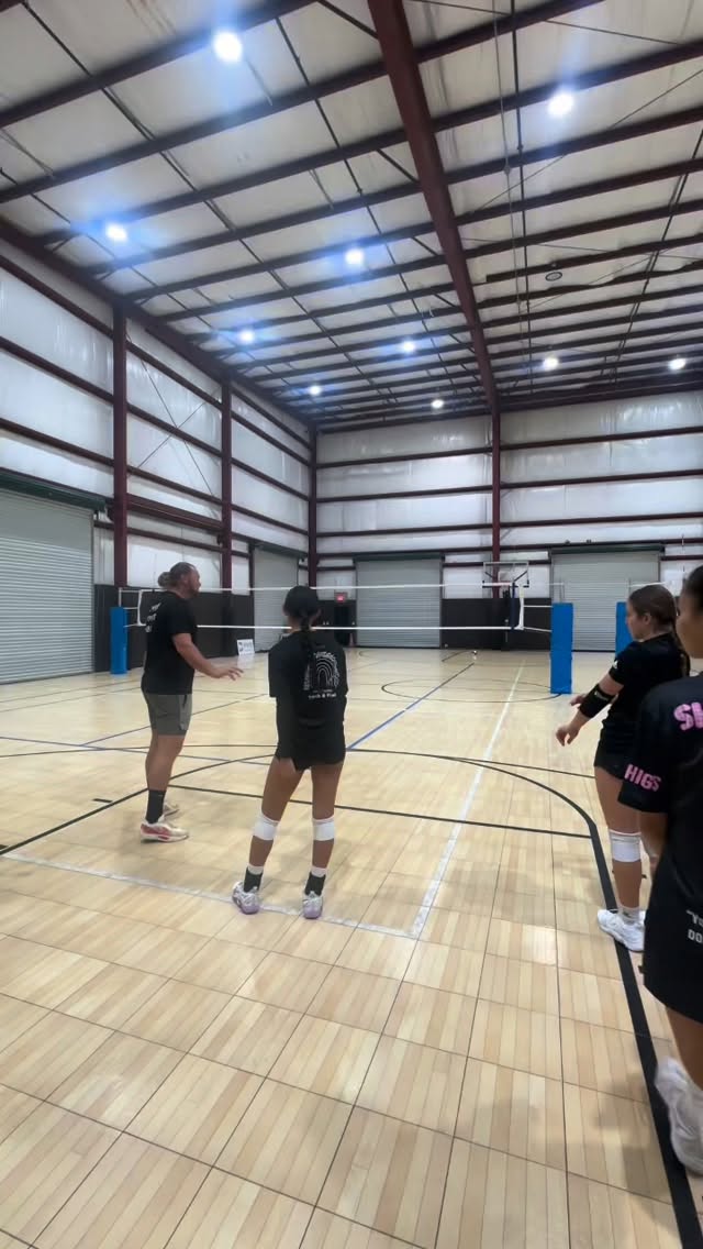 Quick little crash course on dolphin diving 🐬 You definetly don’t 🙅❌ want to end up in a Scorpion position 🦂