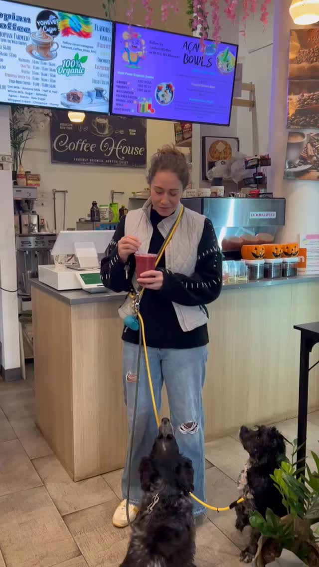 #organicsmoothies #downtownsmoothie #coffee #ethiopiancoffee #nyccoffee #nyceats #realsmoothies
