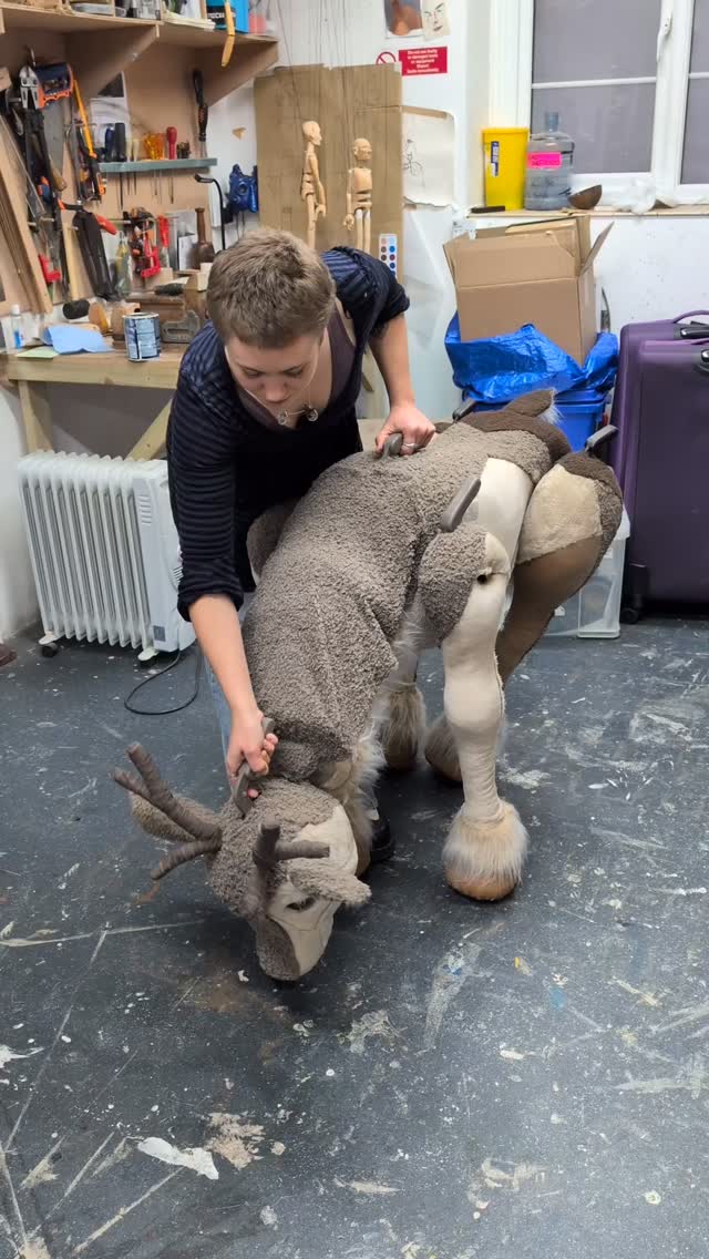 We made a reindeer! Another commission for our friends at @wiseowltheatre for their upcoming Christmas show @skiptontownhall - ‘The Reindeer Who Saved Christmas’
Big shout out to our @littleangeltheatre team of makers @mcrofton @llllika @jessshead and Ginger!
#Reindeer #puppet #puppetry #reindeerpuppet #puppetsofinstagram #puppetdesign #puppetmaking #puppetshow #puppetmaster #christmas #christmasiscoming #theatredesign