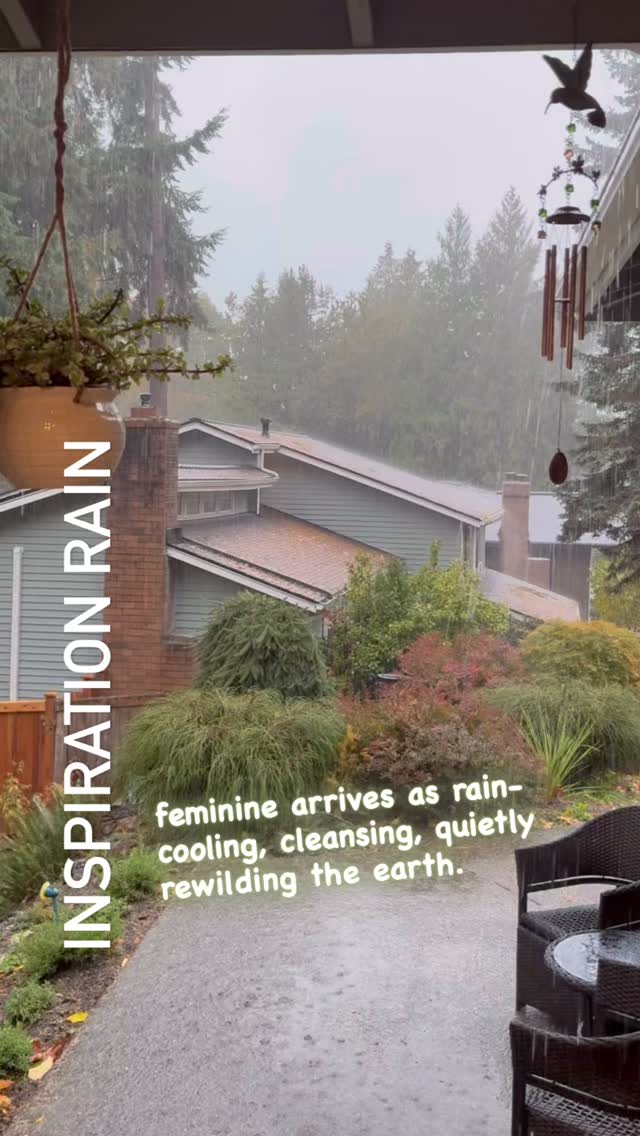 Inspired today by Arundhati Roy.
Today's rain reminded of monsoon Rain, in Roy’s imagery, often symbolizes both cleansing and remembering.
'The God of Small things' is a beautiful signature poetic work of hers where politics merges tenderness and resistance, nature and revolution.
- The “rain” can break a long drought, emotional, social, or political. It carries the scent of earth reclaiming herself, a kind of relief and release.
- Forgiveness here isn’t submission, but renewal — the earth forgiving us for forgetting her.
It’s the feminine principle of regeneration, not vengeance.
A woman “smelling the rain” becomes a seer, a witness to rebirth, attuned to nature’s healing cycle. Welcome to Feminine awakening 💕
#salanaaura #feminineawakening #lifecoaching #arundhatiroy