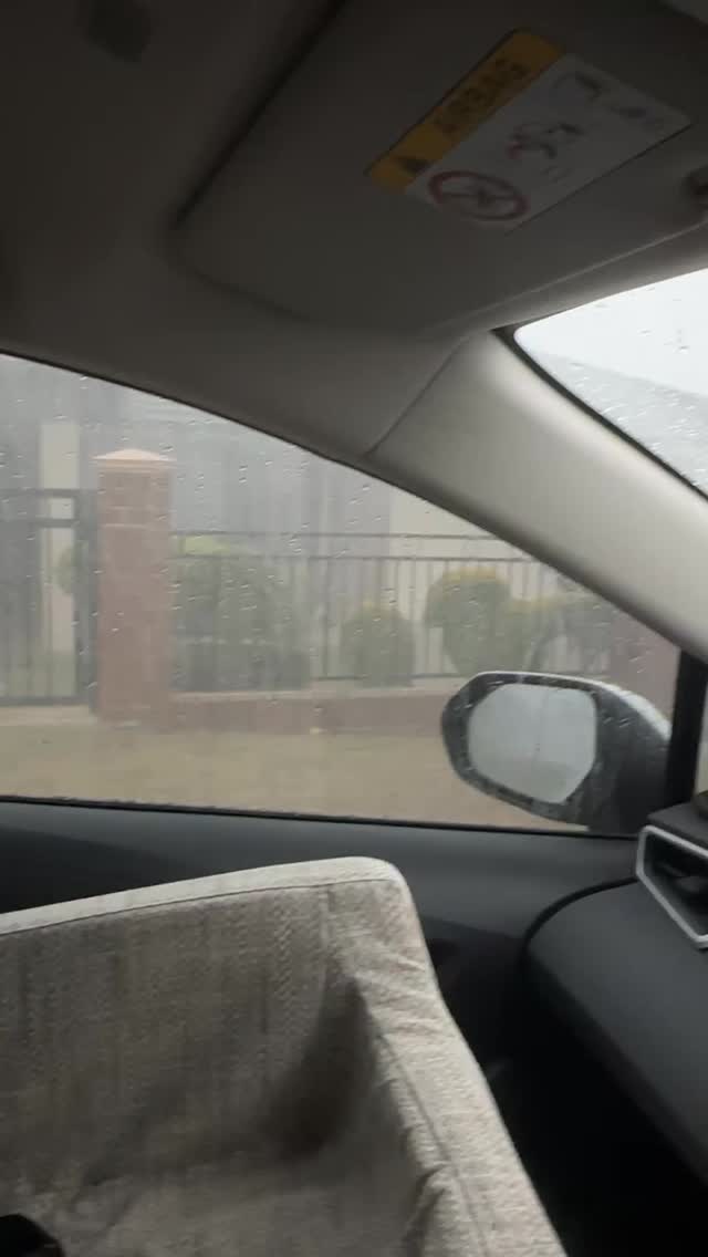 Went in as Makeup Artist. Came out as Wet Dog Aesthetic. 🐶💦
Storm: 1
My hair: 0
Clients: Still flawless 💁🏻♀️✨
#hawthornebeautysalon #brisbanemakeupartist #caughtintherain #fyp