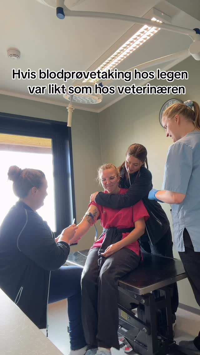 Tenk om vi måtte ha brukt munnkurv også 😆