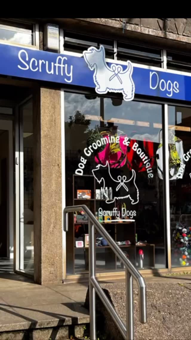 Visit our shop just off Llandaff High Street, Scruffy Dogs
47c Cardiff Road, Cardiff
#cardiff #cardiffdogs #dryrobedogCardiff #dogharnesscardiff #pawesomesuitscardiff #dogtreatsCardiff #dogsofcardiff ##scruffydogs #PuppygroomCardiff #puppiesofcardiff #dogsofpontcanna #pontcanna #doggroomingcardiff #dogsofllandaff #dognailclippingcardiff #dogsofllandaffnorth #dogsofllandaff #llandaff #llandaffnorth #whitchurch#dogsofwhitchurch #dogsofrhiwbina #dogwalkingcardiff #cardiffwales #cardiffdog #southwalesdogs #dogharnesscardiff #dogdryrobecardiff #dogjumpercardiff