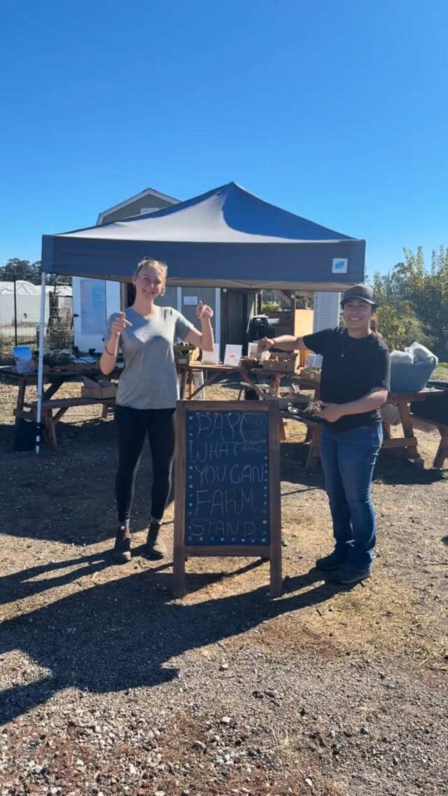 ๐ฑ Come visit our pay-what-you-can farm stand!
๐ฅPay-what-you-can means: if you are able to pay the full amount, we encourage you to do so; if youโd like to pay more to help others access our fresh produce, thatโs wonderful; and if you need a discount, we offer a $30 discount on produce for each purchase for every customer.
๐ฝ Through this model, we hope to increase access to affordable organic produce for our community.
๐ซ Weโre open Saturdays from 10 a.m. to 1 p.m. Come walk around the farm, visit the sheep, and see where your produce is grown!
๐ See you there!
๐1121 Calle Joaquin, San Luis Obispo
#fresh #organic #veggies #paywhatyoucan #produce #cityfarmslo #sanluisobispo