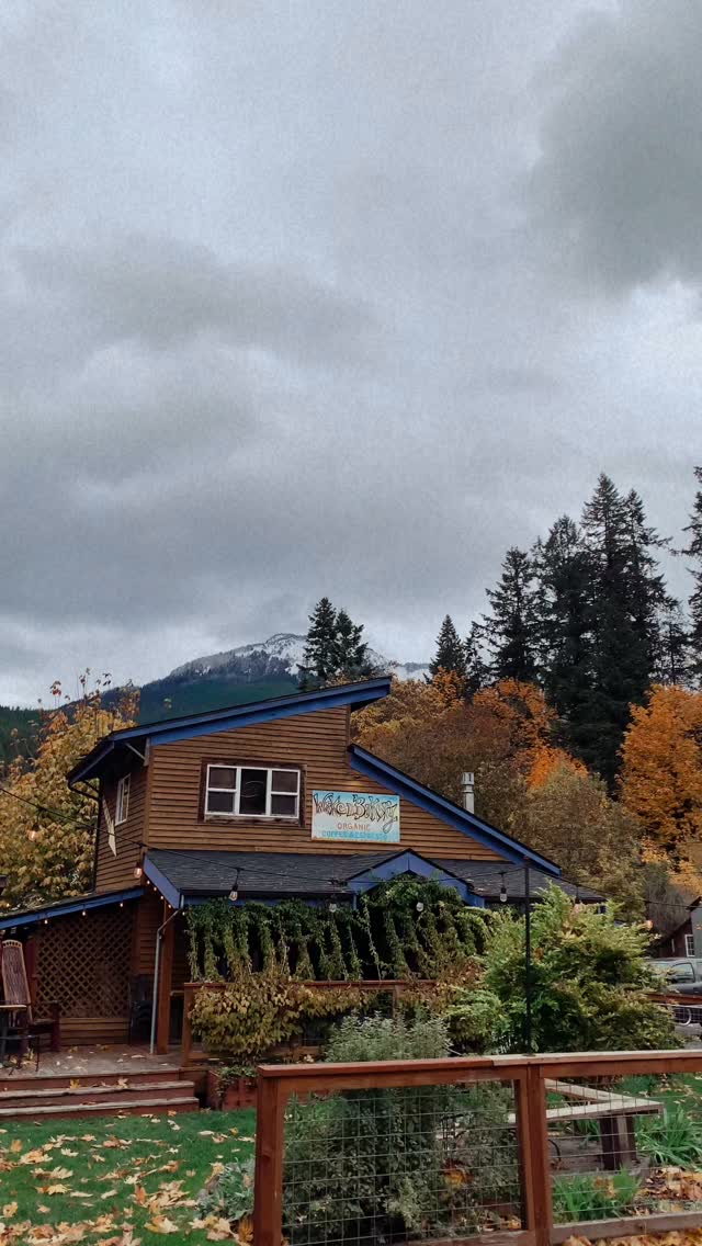 We are officially transitioning to our shoulder season operations! For the first time in six years, we’ve decided to stay open daily into the holidays. We’ll be serving up your favorite treats and warm drinks from 8 AM - 2 PM everyday through 11/21/2025. We’re looking forward to another awesome winter at Mt. Baker and a new merch drop hitting the shop within the next month…. Stay tuned. There are still leaves to peep and fresh snow in the hills, the coffee lines are short and the pastry cases are full, come enjoy fall in east county!
If you’re Christmas shopping be sure to check out our local maker’s gift shop! We have new additions weekly!
#wakenbakery #glacierwa #mtbaker #wakenbakeryglacier #supportsmallbusiness #shopsmall #eatlocal
#getsconed #wakenbake #shoplocal