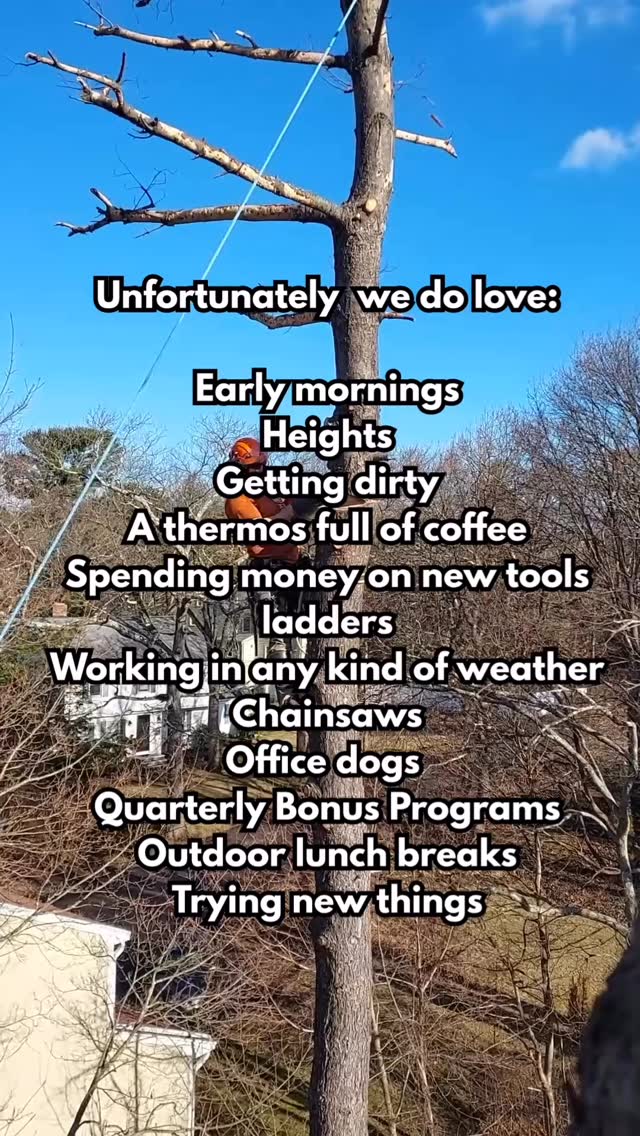 We love what we do here! 🌲🪚☀️