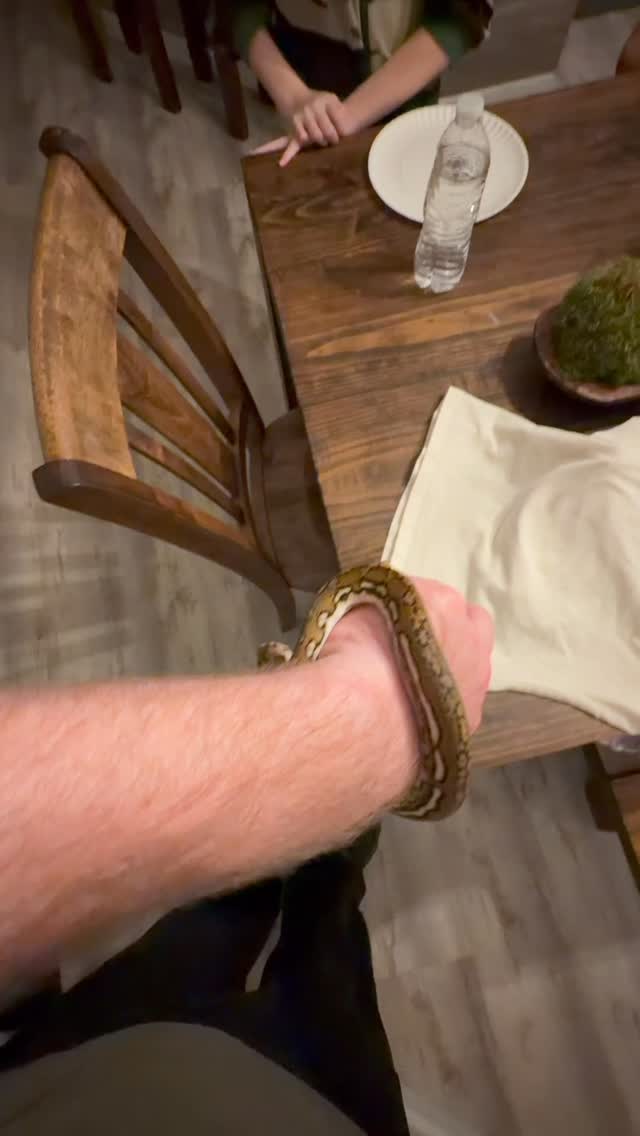 One of the best Aztec Tigers!!! He is a sweetheart too!!