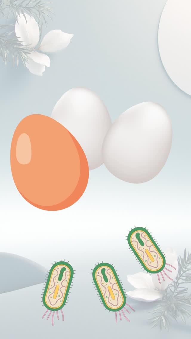 Want to protect your eggs from bacteria and spoilage? 🦠
Eggcellent’s natural coating helps your eggs stay fresher, safer, and last longer without refrigeration.
Visit eggshelflife.com to learn more.
#Eggcellent #EggProtection #EggShelfLife #FoodTech #FarmToTable #EggHacks #PoultryIndustry #FoodSafety #EggStorage #EggScience #Agritech #EggCoating #EggcellentAcademy