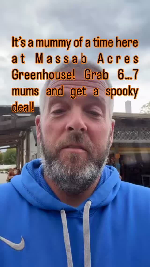 🎃👻 Spooky Season is HERE at Massab Acres Greenhouse! 👻🎃
We’ve got ALL the Halloween vibes! Pumpkins big and small, straw bales, cornstalks, gourds, ghosts and so much more for all your DIY decorating fun! 🕸️🧡
Bring the family and take a stroll through our Spooky Garden… if you dare 😱
Or let the kiddos jump for joy in our famous Jumping Pumpkin — back by popular demand this year! 🎉🎃
✨ Special Announcement for all our Mummy’s out there! ✨
Come grab your mums — because they are on SALE!
If you buy 6… or 7 😉 of our smaller mums, you’ll get them for just $4.00 each!
👉 Just mention it at the register to get the deal!
Support your local family business while making some spooky memories — we can’t wait to see you this Halloween season! 🧡🌾
📍 Massab Acres Greenhouse – Nestled right here in the community!
#MassabAcresGreenhouse #HalloweenAtMassabAcres #JumpingPumpkin #SpookyGarden #MumsTheWord #PumpkinsPumpkinsPumpkins #ShopLocal #SupportSmallBusiness #learnwithshayna 🎃#taylormichigan #downriver #shoplocal #familytime #tgif #halloween #mum #momlife #sixseven