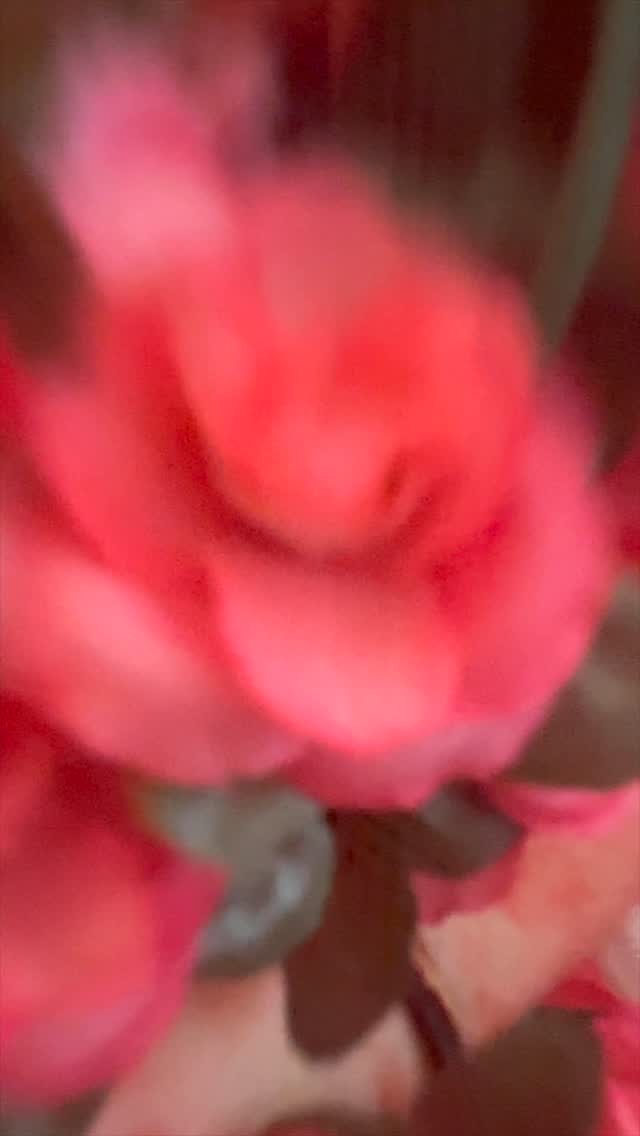 We want it all, horror movie character style! 👻
Whether you’re trick-or-treating or watching game 6 of the World Series, we are wishing everyone a fun and safe night!
Happy Halloween from the LAC team 🎃
#WANTITALL #gojaysgo⚾️ #ldnartscouncil #Halloween #horrormoviecharacters