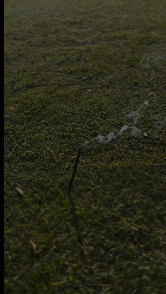 Yoga grupal❤️
#saludybienestar #yoga #relax #yogagrupal #yogawear #yogalife