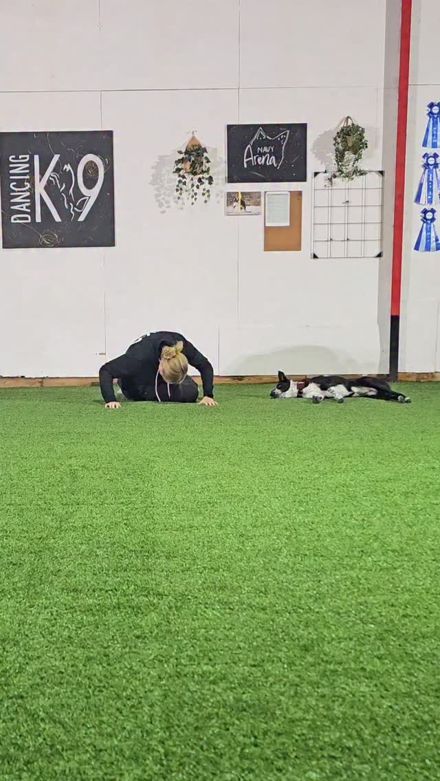 Our dogs notice who we are, even in the moments when we feel a little lost or not quite like ourselves. They see the real version beneath the surface, the one trying, learning, and showing up.
Training together is not only about cues and behaviors. It is about connection, confidence, and rediscovering the joy in moving as a team. Every session becomes a reminder that we are growing, even when the progress feels invisible.
#dogdancingfreestyle #dogsofinstagram #DancingK9 #dogdancing #instadog #dogtraining