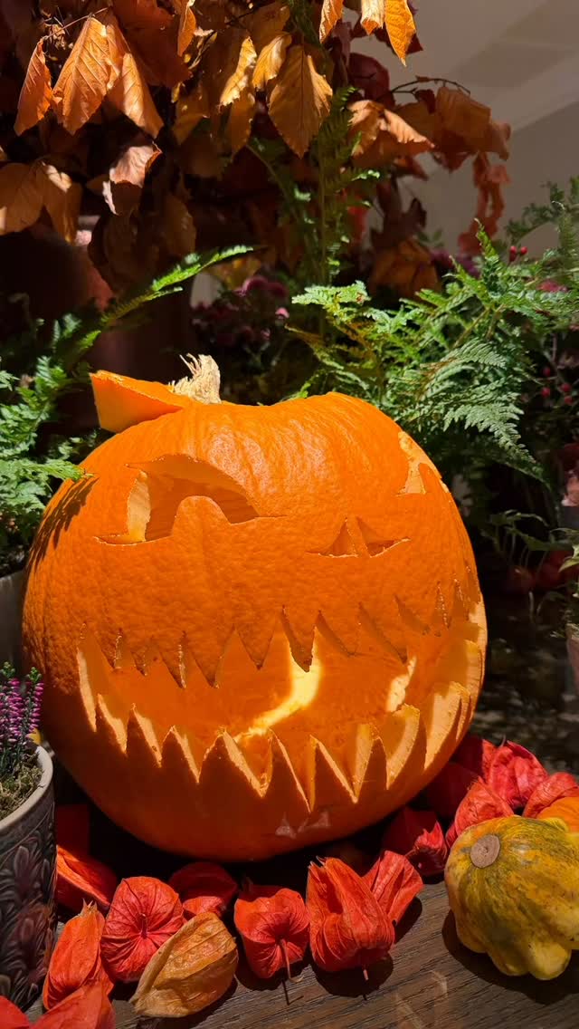 Things got a little spooky this week 👻
#halloween #spooky #florals #blomsterdesignsflowers #blomsterdekoratör #blomster