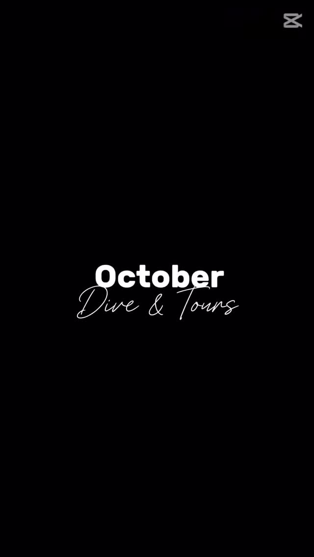 Goodbye October, Hello New Adventures!
As we bid farewell to October, we’re looking back at an incredible month filled with unforgettable dives, smiling guests, and amazing underwater encounters! 🐠🤿
From breathtaking coral reefs and playful turtles to our exciting island and whale shark tours — every moment has been a reminder of how special it is to dive and explore here at South Seas.
Thank you to all our wonderful divers, students, and guests who shared these experiences with us. Your laughter and love for the ocean make every dive even more memorable!
Here’s to more bubbles, discoveries, and adventures this November! 🌅🌴
For bookings & inquiries:
Email: diveandstay@southseasbrdc.com
Whatsapp: +63 956 305 1200
.
.
.
.
#diveinsouthseas
#familyadventures
#housereefcafeandbar
#diveintoadventure
#UnderwaterAdventures
#lovethephilippines #ssbrdc #santander #cebu #philippines #santandercebu #staytasteenjoy #dive #snorkel #seac #divesouth #divecebu #divephilippines #adventure #islandlife #itsmorefunincebu #travel #moalboal #sardine