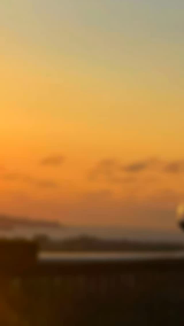 ✨ Todavía con resaca emocional del pasado 26 de octubre, queremos dar las GRACIAS de corazón a todos los que habéis formado parte de nuestra primera Comida Solidaria. 💚
Ha sido un auténtico honor reunir a casi 80 personas con un mismo propósito: ayudar, compartir y demostrar que cuando las personas se juntan para hacer cosas buenas, el ser humano es capaz de lo más bonito. 🌍💫
Un agradecimiento muy especial a la Asociación Amara Cantabria, por su labor incansable, por su fuerza y por recordarnos cada día lo que realmente importa. 💚Esta ha sido, sin duda, la primera de muchas.
Gracias infinitas a todos los que lo habéis hecho posible: a quienes vinisteis, colaborasteis, aportasteis y creísteis en esta idea desde el principio. 🙏
Y, por supuesto, mil gracias a nuestros patrocinadores, sin los cuales nada de esto habría sido posible:
@casatincantabria
@lospasiegosdediego
@conservashoya
@restauranteelpajar
@restaurantelavijanera
@confiteria_santos
@cafedromedario
@latiapalodeco59
A @menciaeventos por esa maravillosa mesa de chuches 🫰🏽
…y a todos los que colaboraron con productos para el sorteo y apoyaron esta causa solidaria. 💖
@arrimandoelhombro @cabarcenooficial @obradorellambion @trinidad.castillo @thiare_beauty @puragrovida @casonalascincocalderas @alberguecasavacas @mesonsancipriano @degranjaengranja @mercadodelaesperanza @apartamentosaroca @cervezas.rockerbeer @nach_viking @lawavesurfsomo @salonnalupeluqueria @albertocriadochef @buceo_pedrena @degalizano @fisiomarsomo @restaurantelasquebrantas @ayuntamientoribamontanalmar @mulecarajonero @sylviademiguelp @alfonsofrailegarcia
Cómo olvidarnos del Coro de Amigos de Suesa y nuestro querido @nach_viking que ambientaron con su música este gran día.
Porque cuando se unen las ganas y el corazón, pasan cosas mágicas.
Gracias, gracias y mil veces gracias. 🌟💛