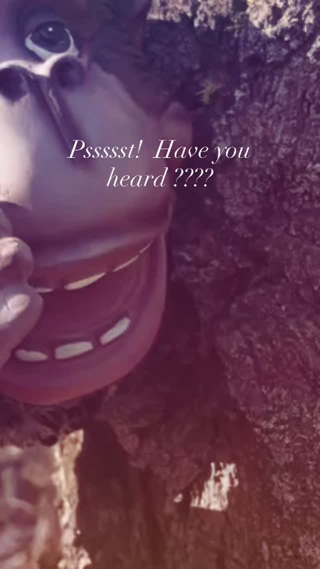 It’s finally available !! Please support - get your copy or charge with a friend ! #rootedlightphotos #healingthroughnature #mindfulmoments #naturephotography #rootedinnature