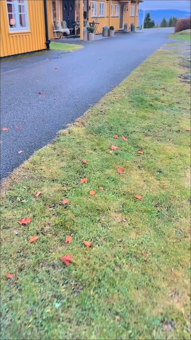 Hos oss på Kleivstua finner du alt for en vellykket konferanse, flotte fasiliteter i inspirerende omgivelser, deilig mat og en atmosfære som gir rom for nye ideer
#kleivstua #møtestedetpåkrokskogen #kleivstuahotell