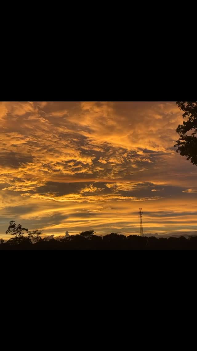 Feels from #santateresacostarica Teresa 🌅
Joy starts with your first step in the sand.
#beachvibes #costaricamagic #staymagic #puravida #lifestyle #costarica #magicplace #vacation