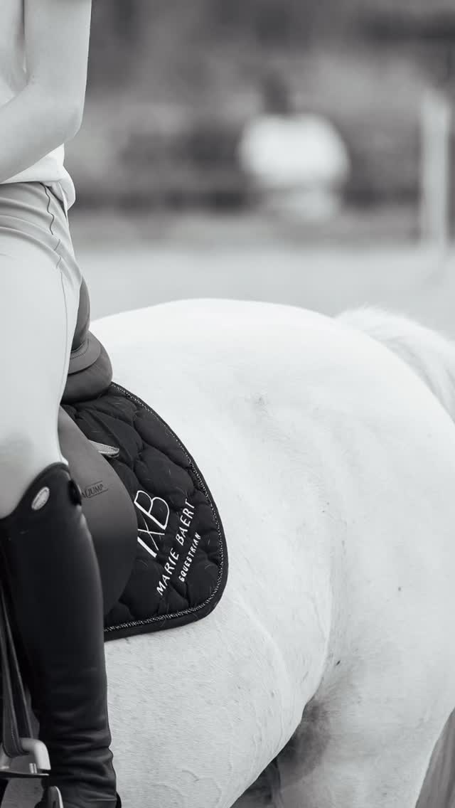 It’s all about the details…
#mbequitalents#horsereflectedcoaching #horsebackriding #horses #horsereflectedcoach #horsebackridinglessons #paardencoaching #talents #kindercoach #kindercoaching #paarden #jumping #dressuur