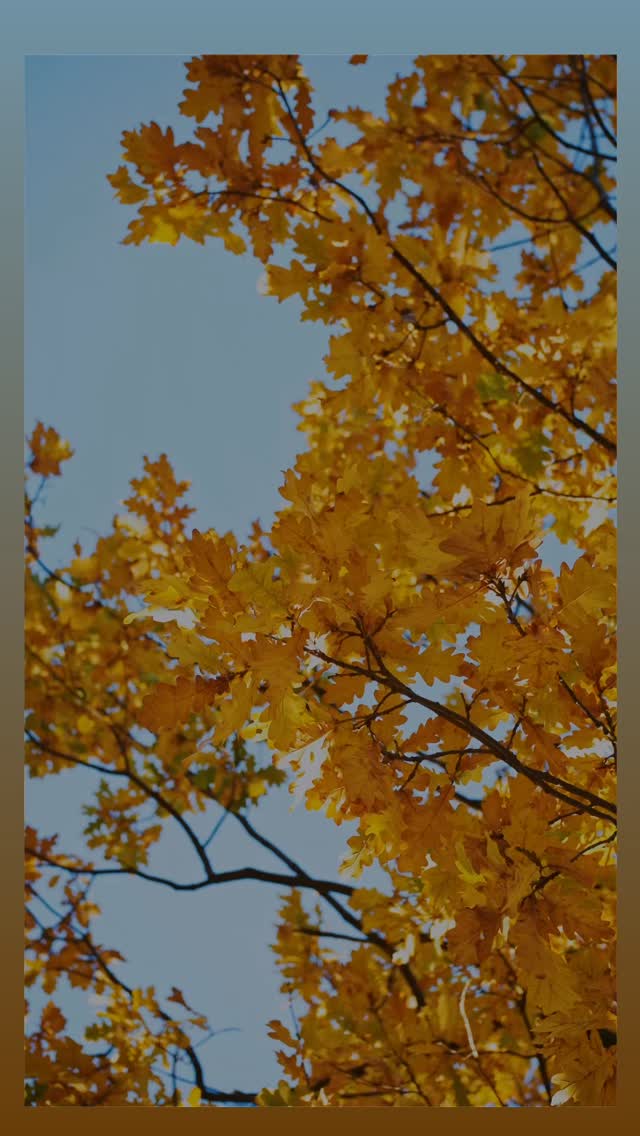 SNEAK PEAK
Leaf Herons, bronze, 4-5 inches
All inquiries please contact @gallerybgallery
#veeverscarter #digbyveeverscarter #lostwaxcasting #somersetsculptureandfoundry #bronzesculpture #heron #maineart #castinemaine #gallerybgallery