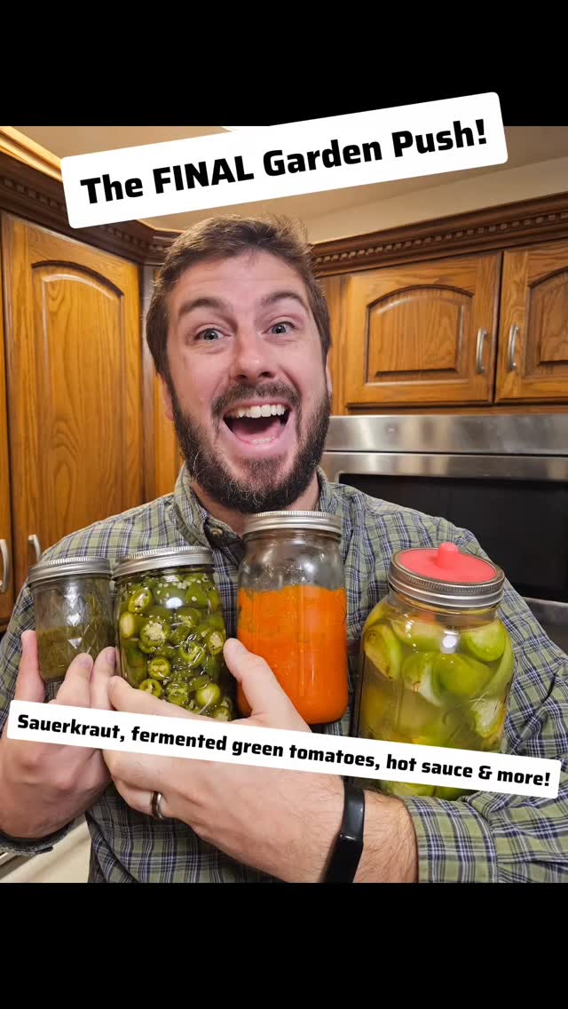 One final garden push before the frost hits! 🥶
We used the last of this year’s harvest to make sauerkraut, pickled jalapeños, simmered tomato sauce, dehydrated peppers, and even gave green tomato fermenting another shot. 💪
Our kitchen smelled like summer one more time — smoky, spicy, and full of flavor. Every jar feels like a little piece of the garden we get to enjoy all winter long. 🌱
What’s your favorite way to preserve the end of your garden?
#HomesteadHarvest #PreservingTheHarvest #EndOfSeason #Fermentation #HotSauce #PickledJalapenos #Sauerkraut #DehydratingPeppers #HomegrownGoodness #SimpleGroundedLife