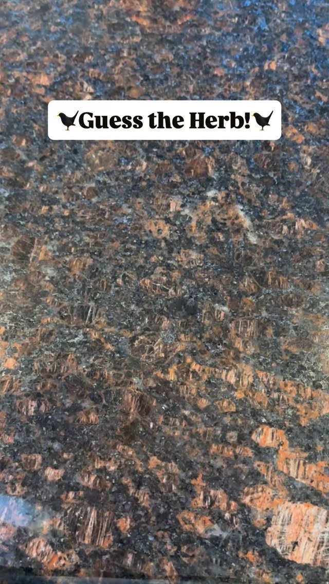 This little star holds the warmth of winter and the magic of ancient medicine. 🌙
Used for soothing digestion, calming the spirit, and adding a touch of sweetness to your brews…
Can you name it? 🌿⭐️
#guesstheherb #herbalmagic #staranise #herbalwisdom #apothecaryvibes #herblore #natureheals #3crowsapothecary