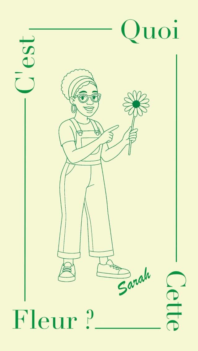 #artisanfleuriste #fleuristepau #paumaville #dahlia #flowerpower