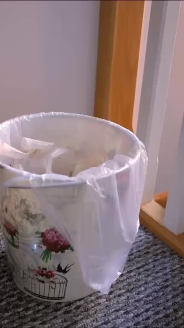 This will change your life! Trash always clean whit this amazing tips 🫧🤩🫧 #ndhousecleaning #trash #housecleaningservice